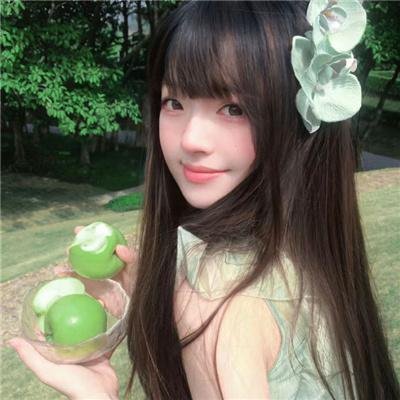 田野泪